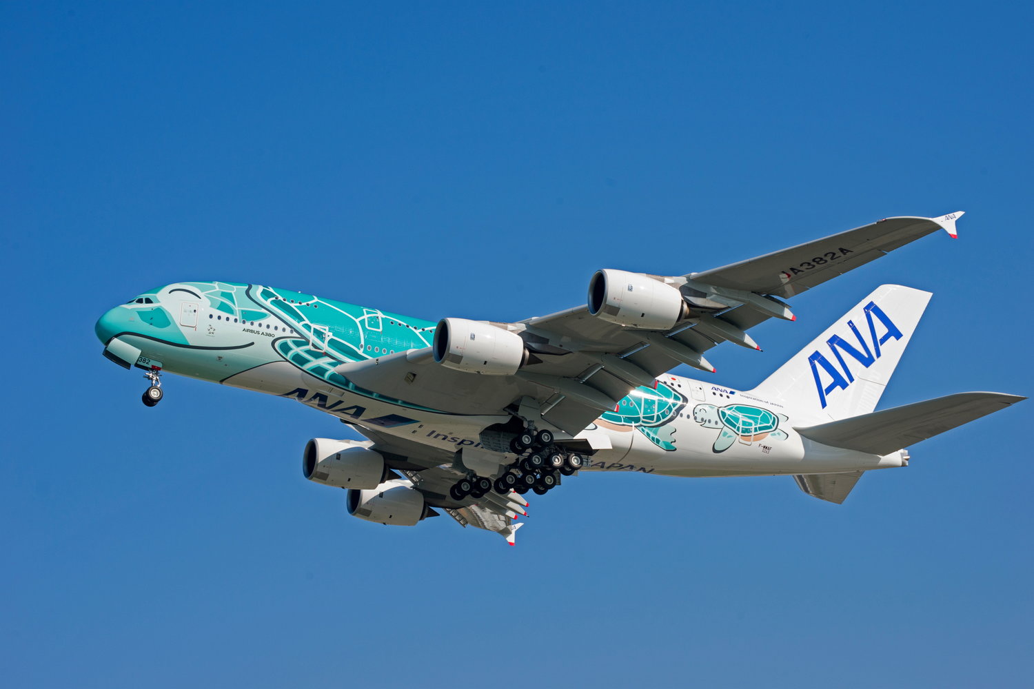 ANA gets second Flying Honu A380 — Allplane